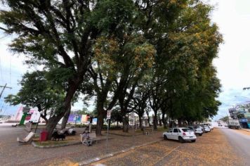 Primavera 2024 na praça Antônio Satte Alam