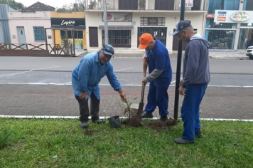 PREFEITURA FAZ PLANTIO DE ÁRVORES E PLANTAS