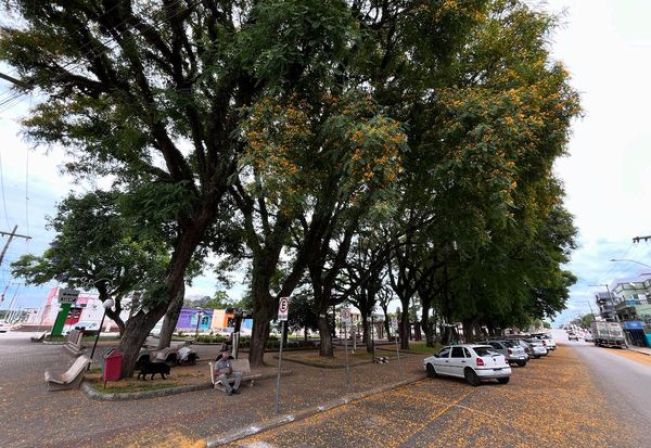 Primavera 2024 na praça Antônio Satte Alam
