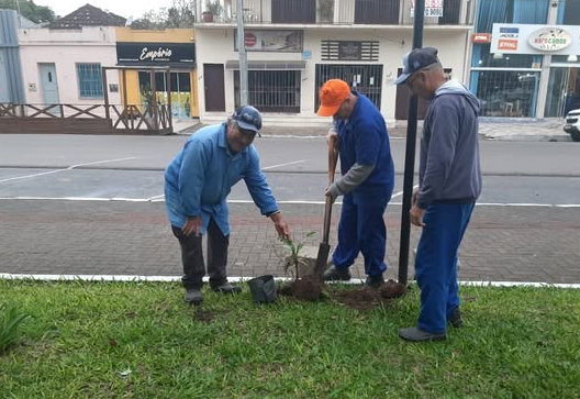 PREFEITURA FAZ PLANTIO DE ÁRVORES E PLANTAS